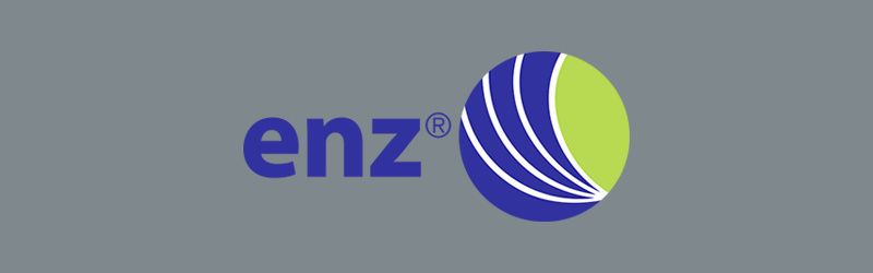 ENZ logo